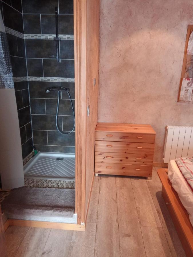 Appart La Porte Des Neiges - Saint Jean De Sixt Buitenkant foto